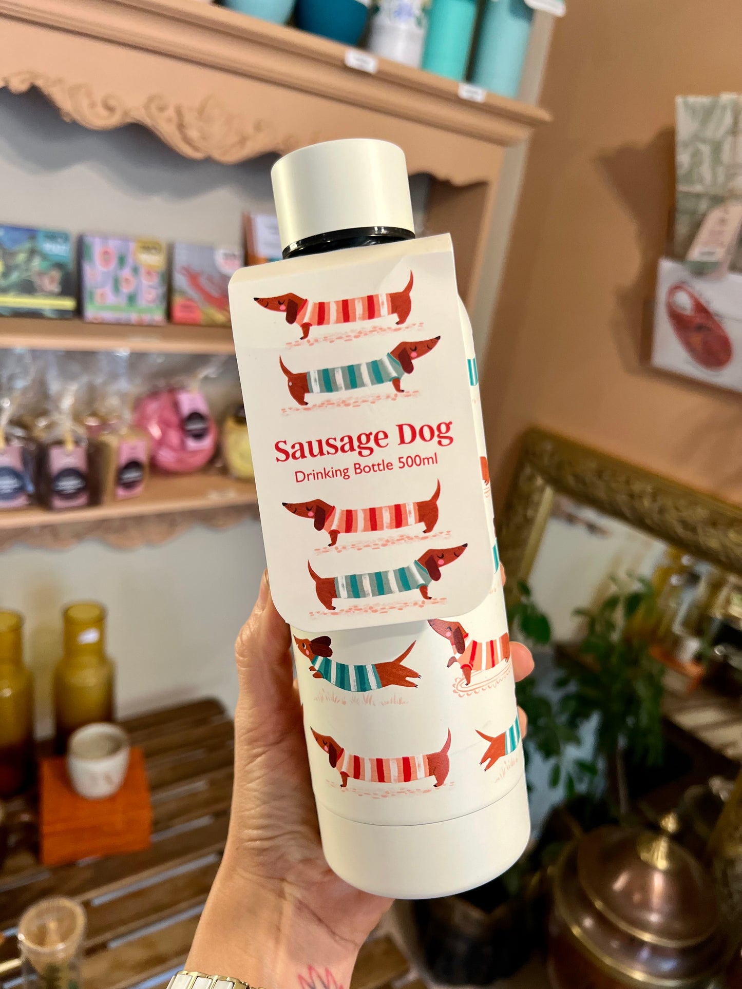 Sausage dogs insulated drinking bottle