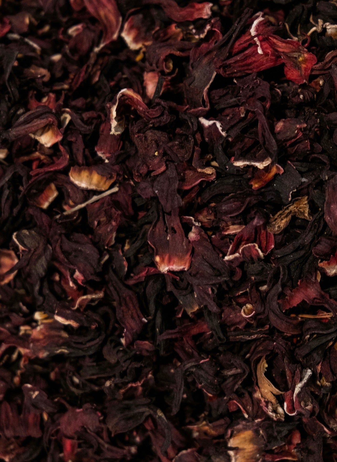Hibiscus
